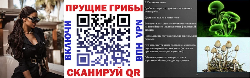 Псилоцибиновые грибы Cubensis  купить   Сретенск 